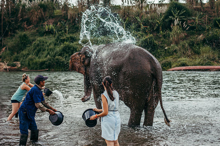 éléphants Luang Prabang donner bain